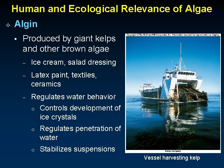 Human and Ecological Relevance of Algae v Algin • Produced by giant kelps and