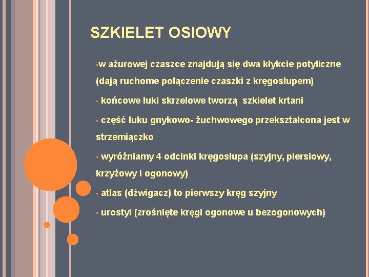 SZKIELET OSIOWY • w ażurowej czaszce znajdują się dwa kłykcie potyliczne (dają ruchome połączenie SZKIELET OSIOWY • w ażurowej czaszce znajdują się dwa kłykcie potyliczne (dają ruchome połączenie