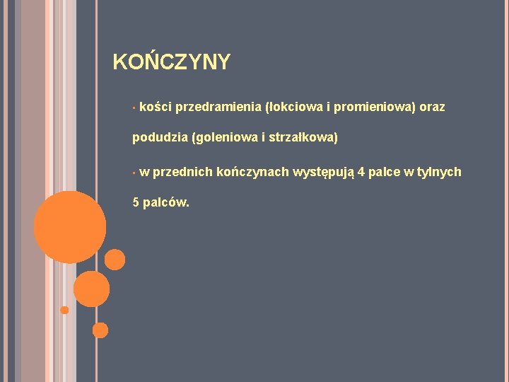 KOŃCZYNY • kości przedramienia (łokciowa i promieniowa) oraz podudzia (goleniowa i strzałkowa) • w KOŃCZYNY • kości przedramienia (łokciowa i promieniowa) oraz podudzia (goleniowa i strzałkowa) • w