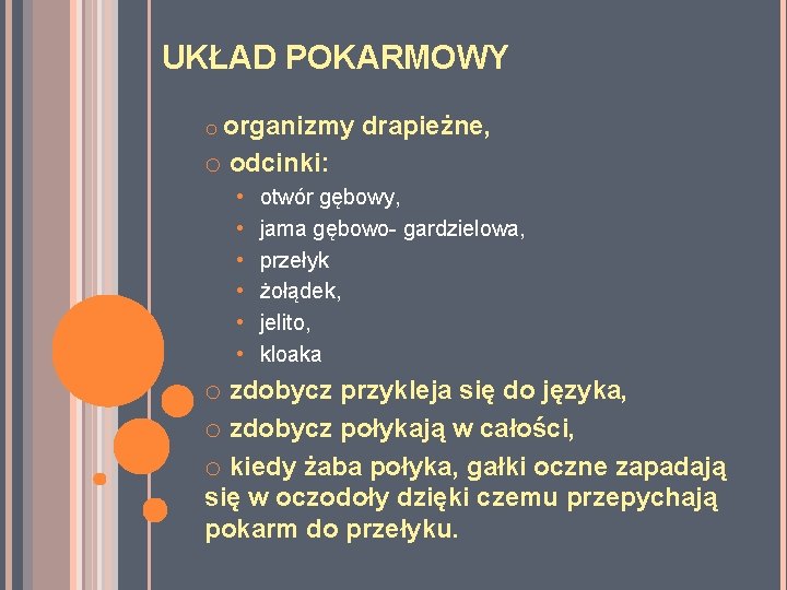UKŁAD POKARMOWY o organizmy drapieżne, o odcinki: • • • otwór gębowy, jama gębowo- UKŁAD POKARMOWY o organizmy drapieżne, o odcinki: • • • otwór gębowy, jama gębowo-