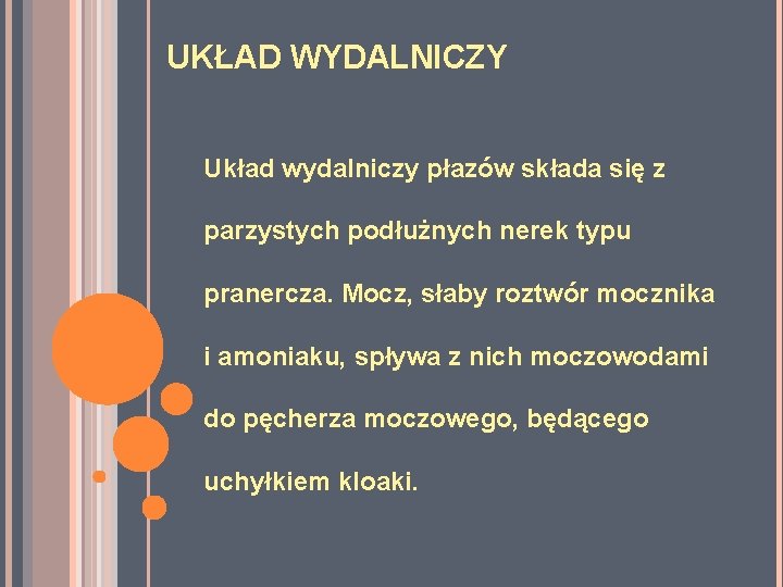 UKŁAD WYDALNICZY Układ wydalniczy płazów składa się z parzystych podłużnych nerek typu pranercza. Mocz, UKŁAD WYDALNICZY Układ wydalniczy płazów składa się z parzystych podłużnych nerek typu pranercza. Mocz,
