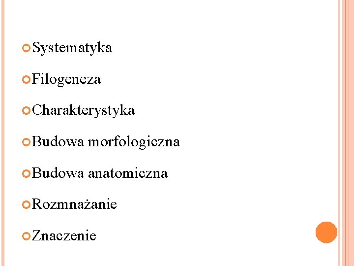 Systematyka Filogeneza Charakterystyka Budowa morfologiczna Budowa anatomiczna Rozmnażanie Znaczenie Systematyka Filogeneza Charakterystyka Budowa morfologiczna Budowa anatomiczna Rozmnażanie Znaczenie
