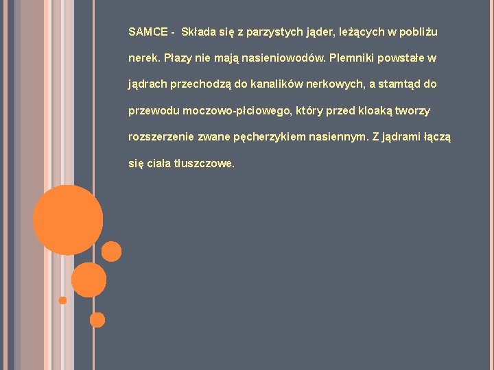 SAMCE - Składa się z parzystych jąder, leżących w pobliżu nerek. Płazy nie mają SAMCE - Składa się z parzystych jąder, leżących w pobliżu nerek. Płazy nie mają