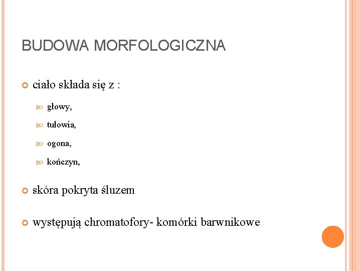 BUDOWA MORFOLOGICZNA ciało składa się z : głowy, tułowia, ogona, kończyn, skóra pokryta śluzem BUDOWA MORFOLOGICZNA ciało składa się z : głowy, tułowia, ogona, kończyn, skóra pokryta śluzem