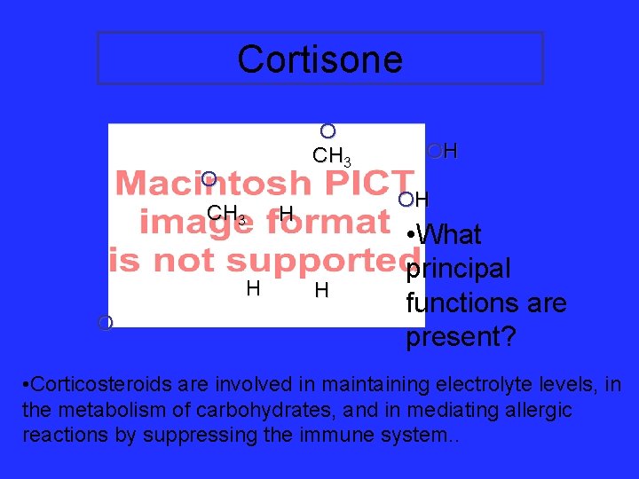 Cortisone O CH 3 H O OH OH H H • What principal functions Cortisone O CH 3 H O OH OH H H • What principal functions