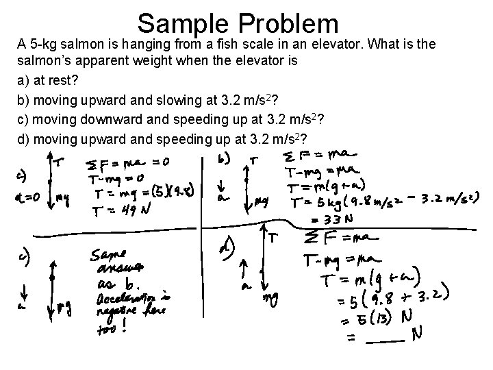 Sample Problem A 5 -kg salmon is hanging from a fish scale in an