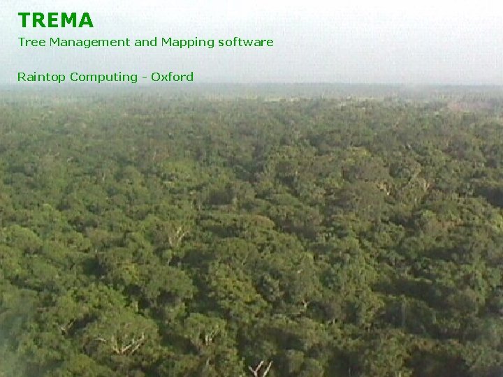 TREMA Tree Management and Mapping software Raintop Computing - Oxford 