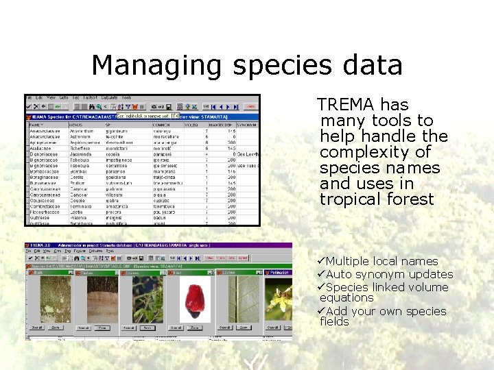 Managing species data TREMA has many tools to help handle the complexity of species