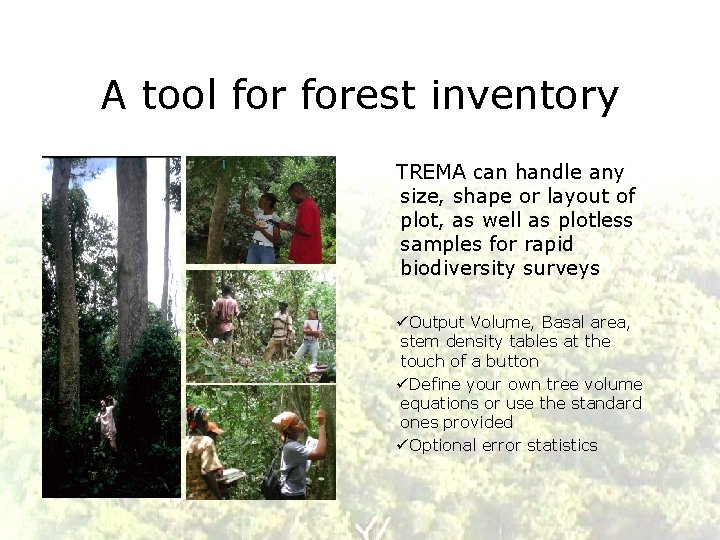 A tool forest inventory TREMA can handle any size, shape or layout of plot,