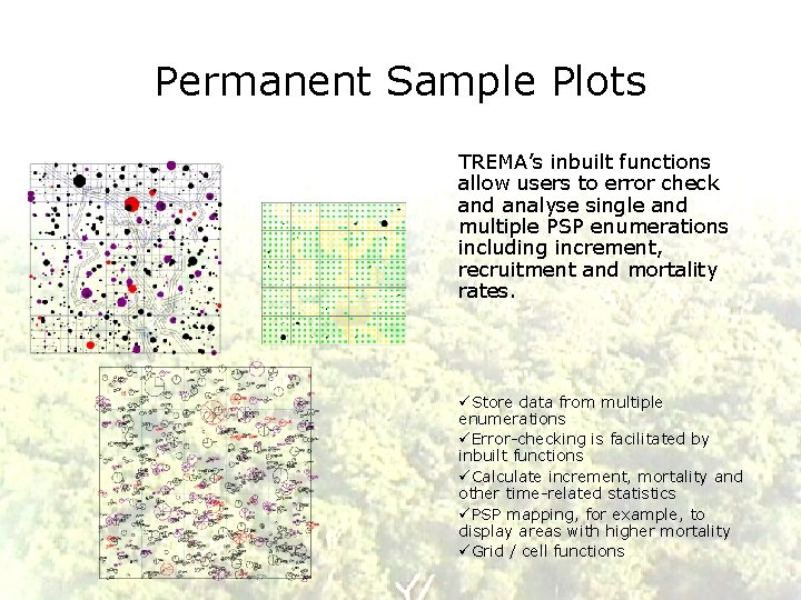 Permanent Sample Plots TREMA’s inbuilt functions allow users to error check and analyse single