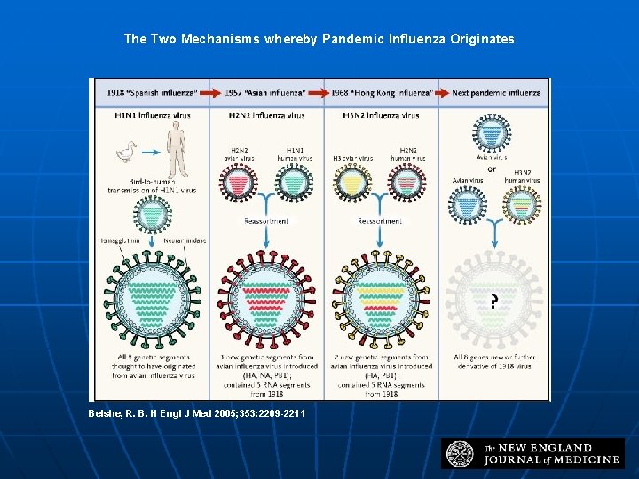 The Two Mechanisms whereby Pandemic Influenza Originates Belshe, R. B. N Engl J Med
