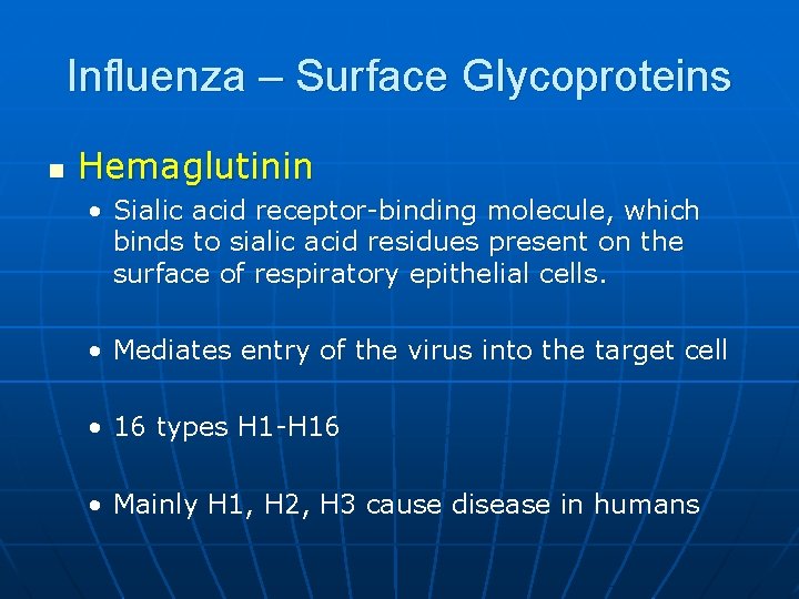 Influenza – Surface Glycoproteins n Hemaglutinin • Sialic acid receptor-binding molecule, which binds to