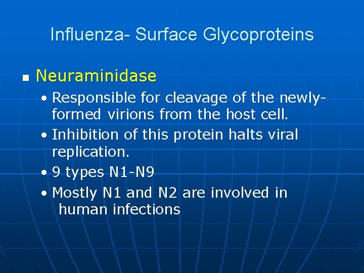 Influenza- Surface Glycoproteins n Neuraminidase • Responsible for cleavage of the newlyformed virions from