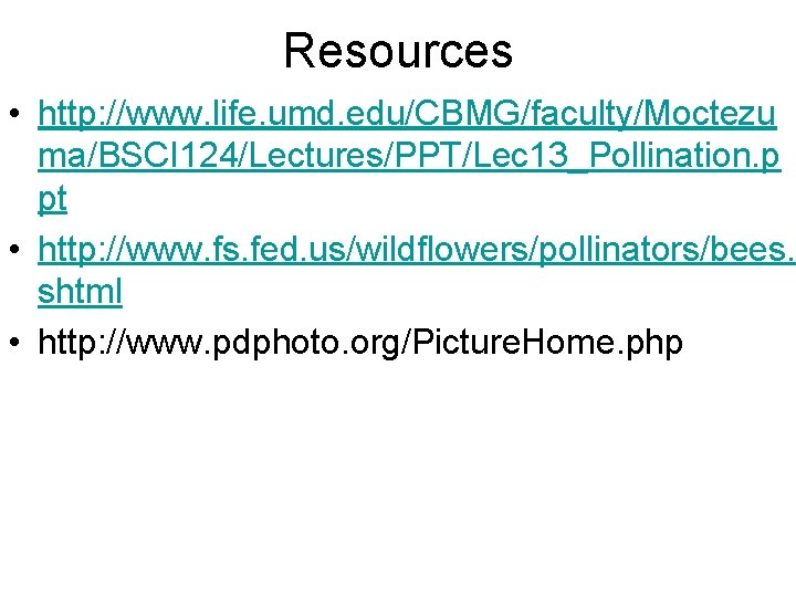 Resources • http: //www. life. umd. edu/CBMG/faculty/Moctezu ma/BSCI 124/Lectures/PPT/Lec 13_Pollination. p pt • http: