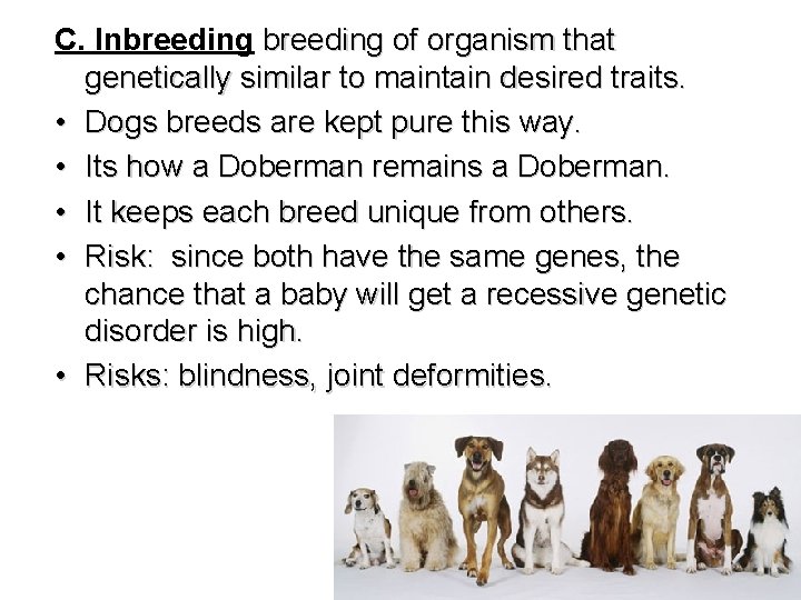 C. Inbreeding of organism that genetically similar to maintain desired traits. • Dogs breeds