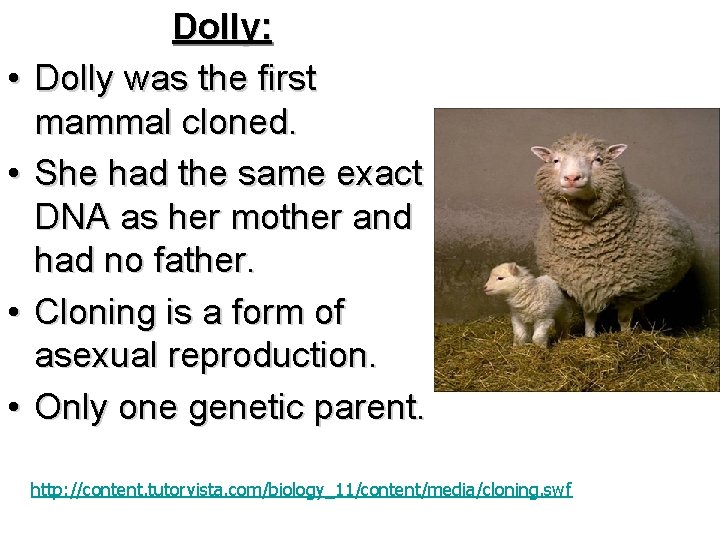  • • Dolly: Dolly was the first mammal cloned. She had the same