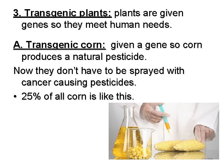 3. Transgenic plants: plants are given genes so they meet human needs. A. Transgenic