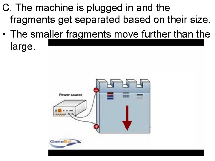 C. The machine is plugged in and the fragments get separated based on their