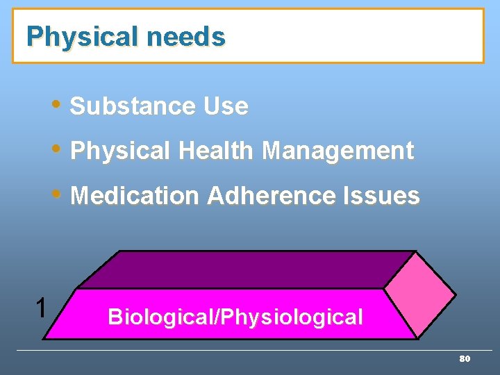 Physical needs • Substance Use • Physical Health Management • Medication Adherence Issues 1 Physical needs • Substance Use • Physical Health Management • Medication Adherence Issues 1