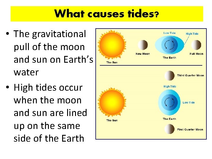 What causes tides? • The gravitational pull of the moon and sun on Earth’s