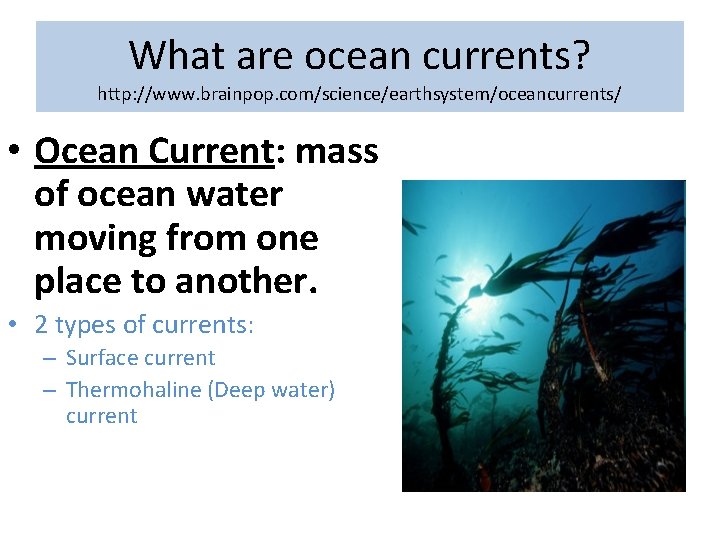 What are ocean currents? http: //www. brainpop. com/science/earthsystem/oceancurrents/ • Ocean Current: mass of ocean