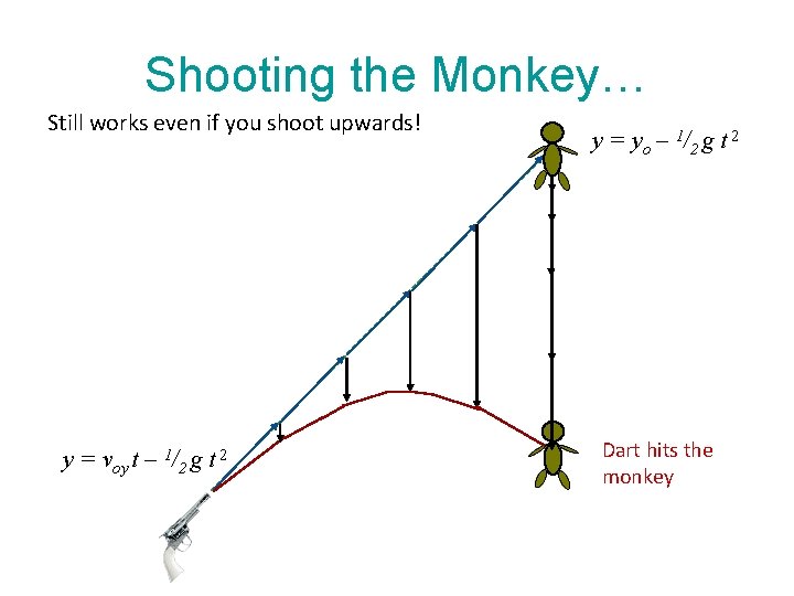 Shooting the Monkey… Still works even if you shoot upwards! y = voy t