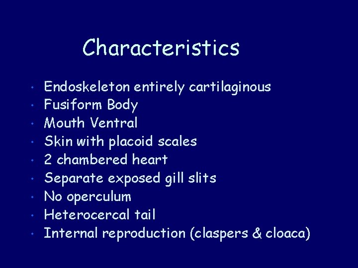 Characteristics • • • Endoskeleton entirely cartilaginous Fusiform Body Mouth Ventral Skin with placoid