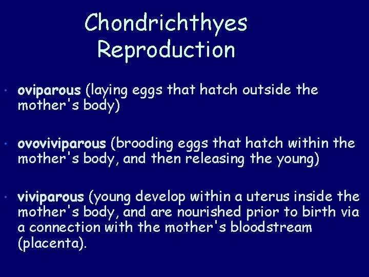 Chondrichthyes Reproduction • oviparous (laying eggs that hatch outside the mother's body) • ovoviviparous