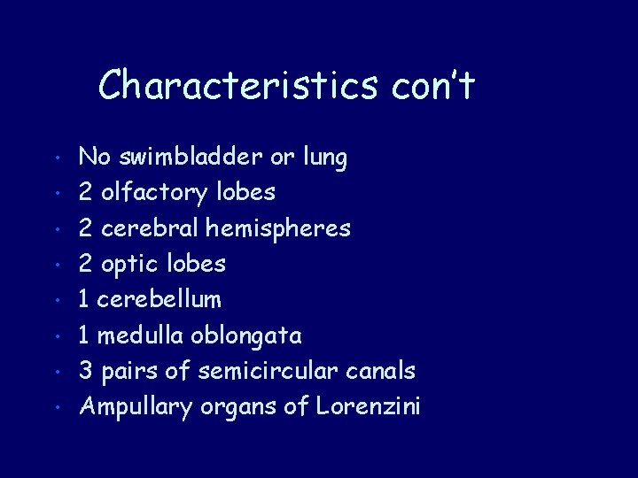 Characteristics con’t • • No swimbladder or lung 2 olfactory lobes 2 cerebral hemispheres