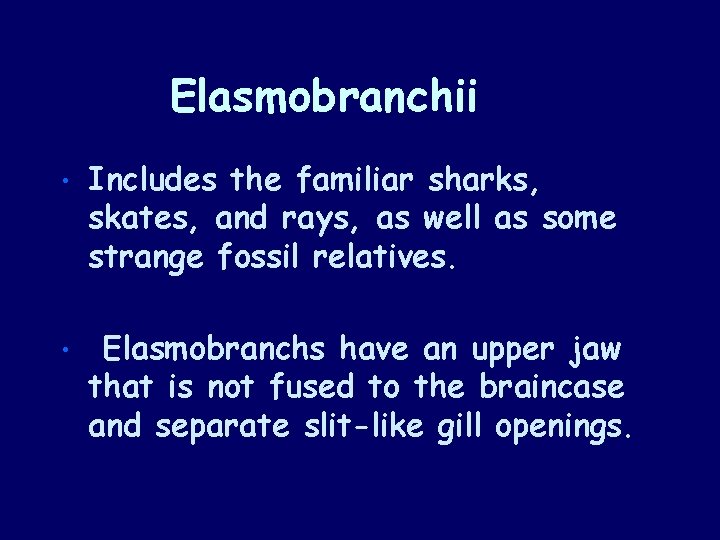 Elasmobranchii • Includes the familiar sharks, skates, and rays, as well as some strange