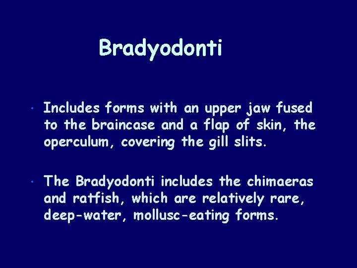 Bradyodonti • Includes forms with an upper jaw fused to the braincase and a