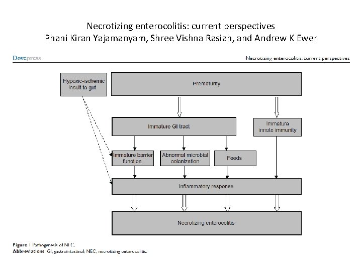 Necrotizing enterocolitis: current perspectives Phani Kiran Yajamanyam, Shree Vishna Rasiah, and Andrew K Ewer