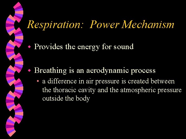 Respiration: Power Mechanism w Provides the energy for sound w Breathing is an aerodynamic