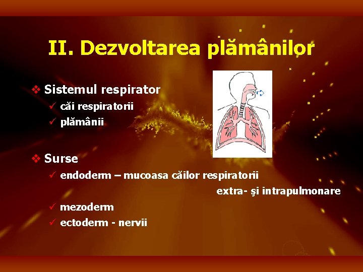 II. Dezvoltarea plămânilor v Sistemul respirator ü căi respiratorii ü plămânii v Surse ü