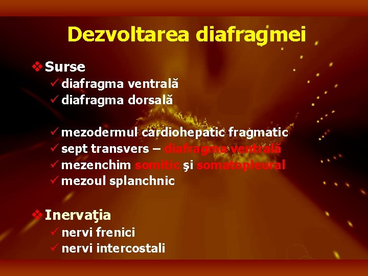 Dezvoltarea diafragmei v Surse ü diafragma ventrală ü diafragma dorsală ü mezodermul cardiohepatic fragmatic