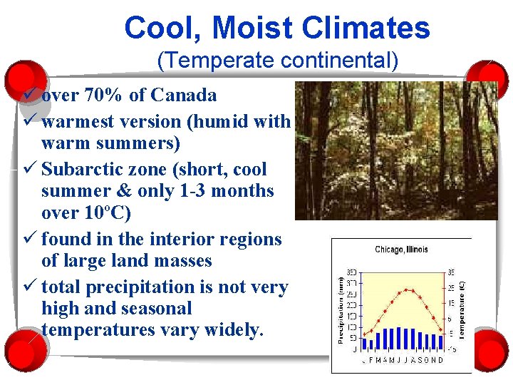 Cool, Moist Climates (Temperate continental) ü over 70% of Canada ü warmest version (humid