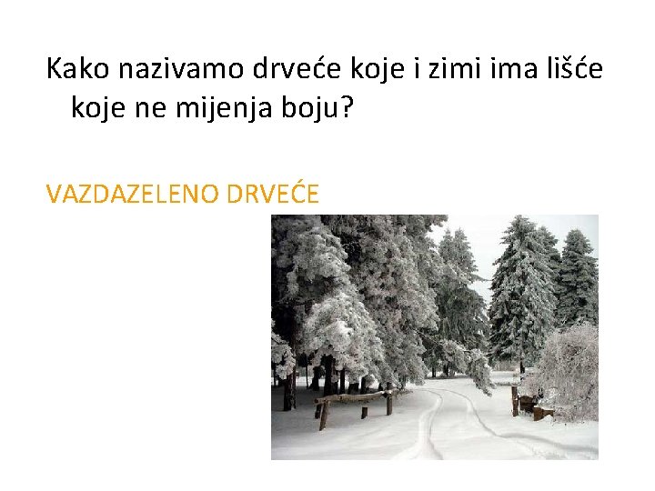 Kako nazivamo drveće koje i zimi ima lišće koje ne mijenja boju? VAZDAZELENO DRVEĆE