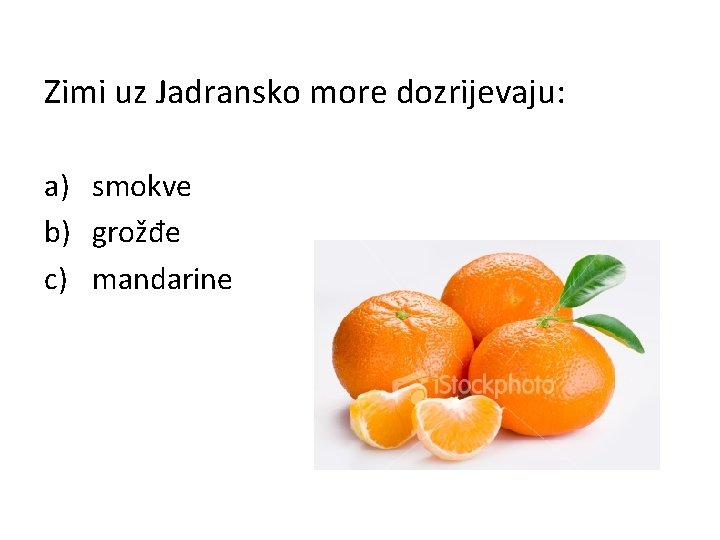 Zimi uz Jadransko more dozrijevaju: a) smokve b) grožđe c) mandarine 