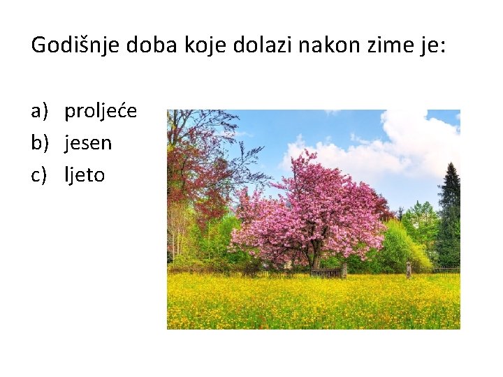 Godišnje doba koje dolazi nakon zime je: a) proljeće b) jesen c) ljeto 