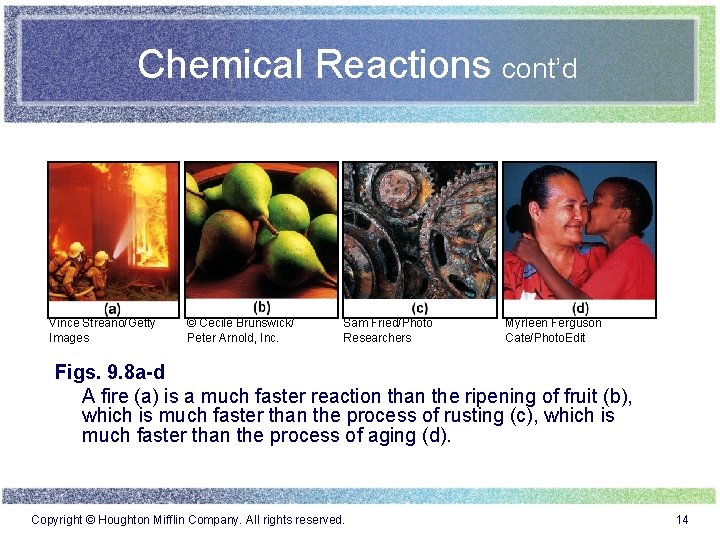 Chemical Reactions cont’d Vince Streano/Getty Images © Cecile Brunswick/ Peter Arnold, Inc. Sam Fried/Photo