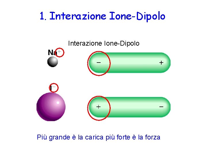 1. Interazione Ione-Dipolo Forze attrattive fra un ione e una molecola polare Interazione Ione-Dipolo