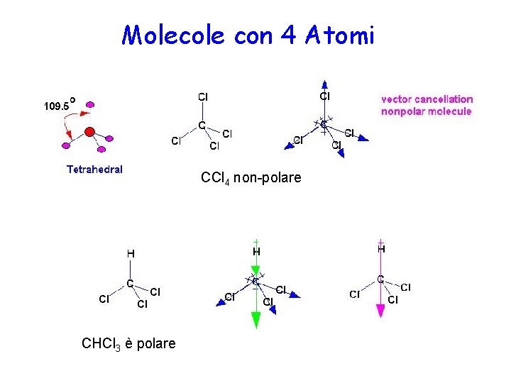 Molecole con 4 Atomi CCl 4 non-polare CHCl 3 è polare 