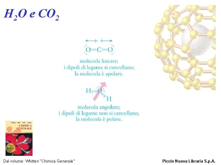 H 2 O e CO 2 Dal volume: Whitten “Chimica Generale” Piccin Nuova Libraria
