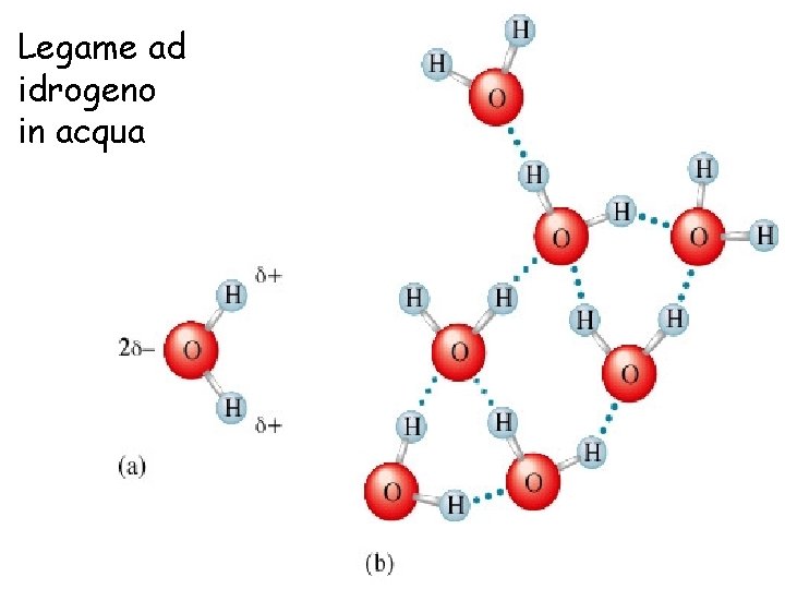 Legame ad idrogeno in acqua 