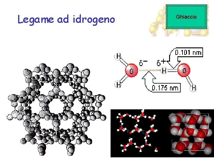 Structure of Ice Legame ad idrogeno Ghiaccio 