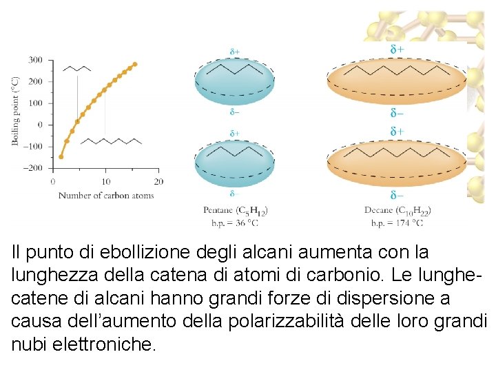 Il punto di ebollizione degli alcani aumenta con la lunghezza della catena di atomi