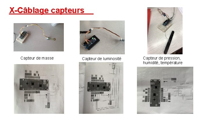 X-Câblage capteurs Capteur de masse Capteur de luminosité Capteur de pression, humidité, température 