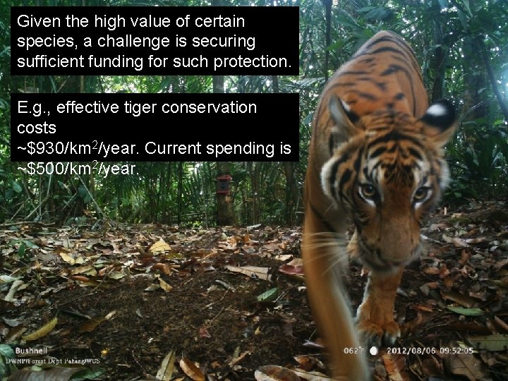 Given the high value of certain species, a challenge is securing sufficient funding for