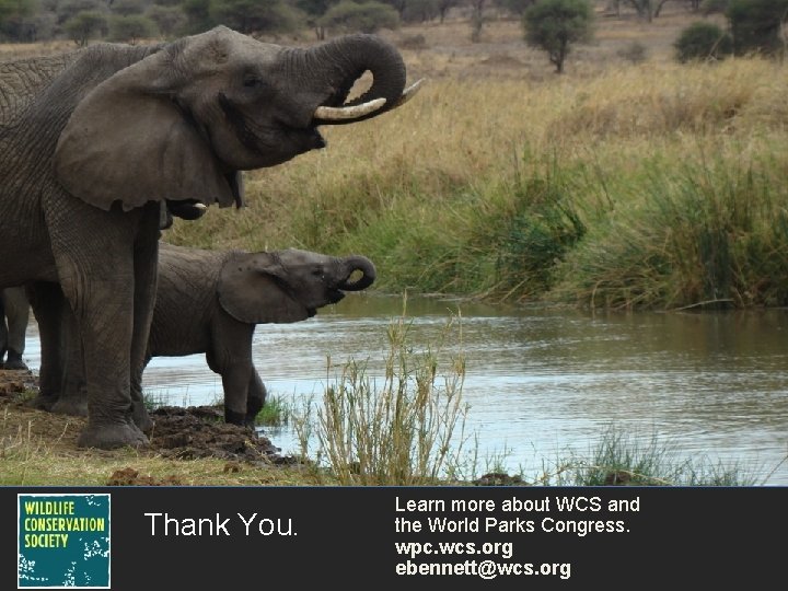 Thank You. Learn more about WCS and the World Parks Congress. wpc. wcs. org