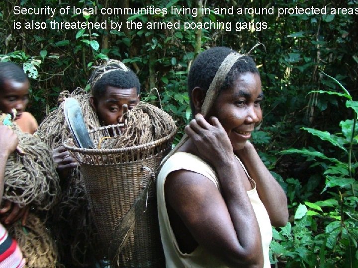 Security of local communities living in and around protected areas is also threatened by